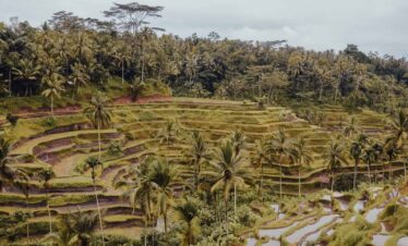 Best time to visit Bali